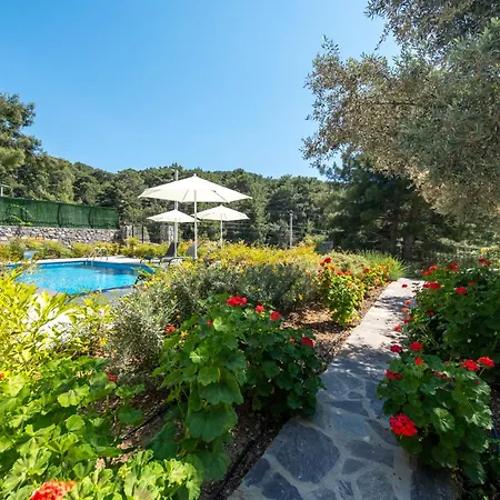Olive Hills - Family-friendly Luxury Yesiluzumlu By Sunworld * Фетхие