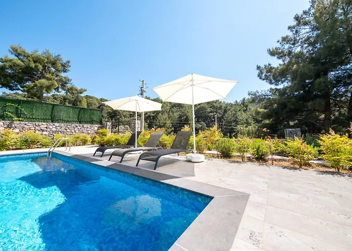 Olive Hills - Family-friendly Luxury Yesiluzumlu By Sunworld